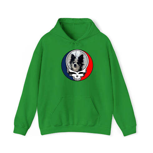 1709 - Custom Stealie Hoodie