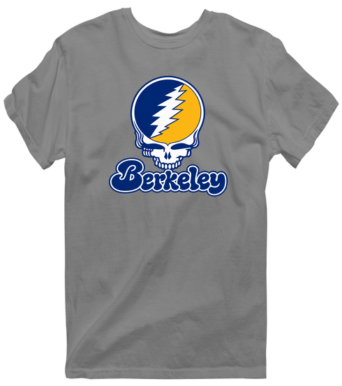 California Stealie Premium Unisex T-Shirt — Design: California Irvine University of — Dark Heather