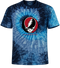 Carnegie Melon University Stealie Tie-Dye T-Shirt