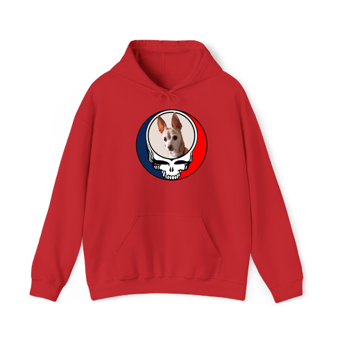 1478 - Custom Stealie Hoodie