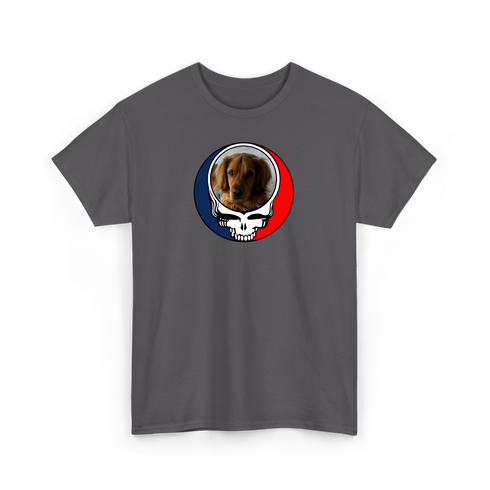 1729 - Custom Stealie T-Shirt