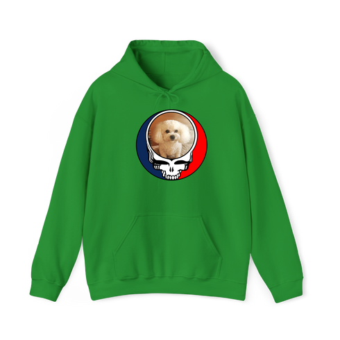 1641 - Custom Stealie Hoodie