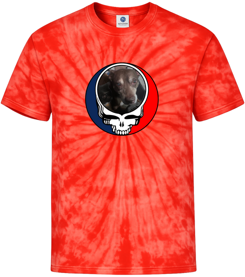 1560 - Custom Stealie Tie-Dye