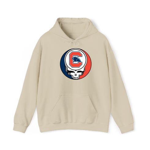 1663 - Custom Stealie Hoodie