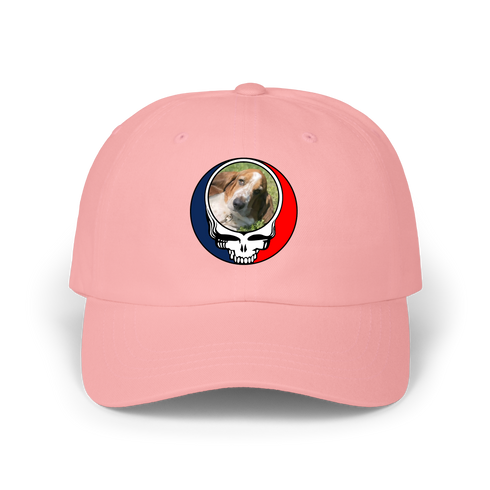 1682 - Custom Stealie Dad Hat