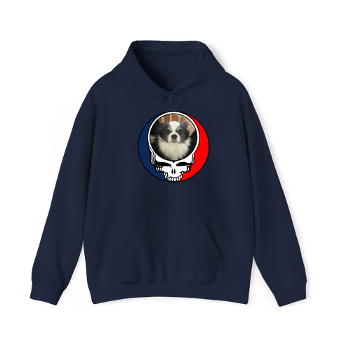 1652 - Custom Stealie Hoodie