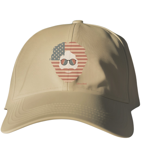 Stars & Stripes Jerry Life is dead. Dad Hat