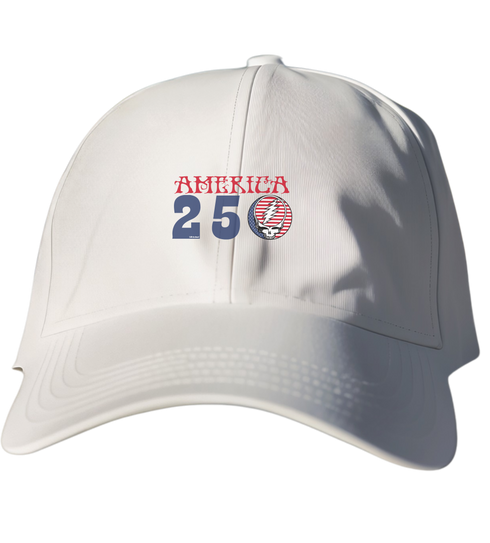 America 250 Stealie Dad Hat