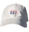 America 250 Stealie Dad Hat