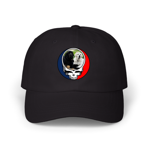 1619 - Custom Stealie Dad Hat