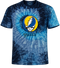 University of Delaware Stealie Tie-Dye T-Shirt
