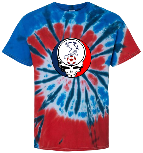 Depaul Billy Blue Stealie Tie-Dye T-Shirt