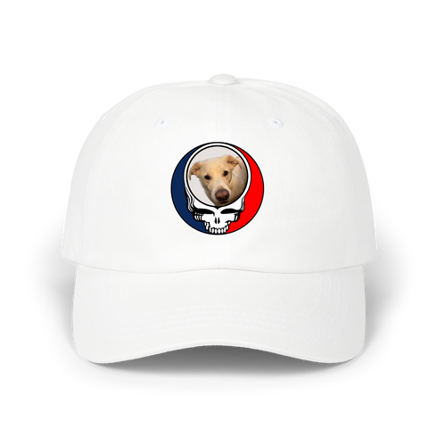 1567 - Custom Stealie Dad Hat