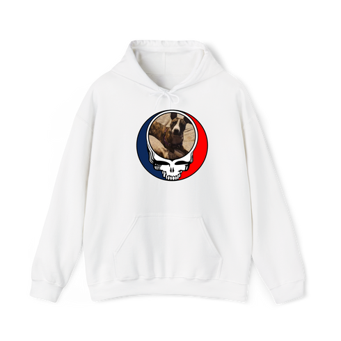 1363 - Custom Stealie Hoodie