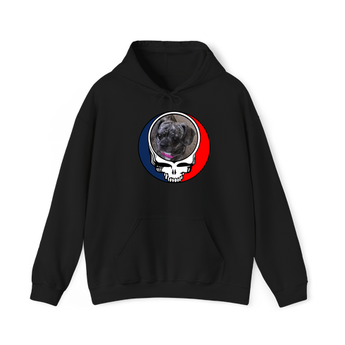 1621 - Custom Stealie Hoodie