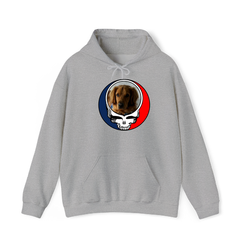 1729 - Custom Stealie Hoodie