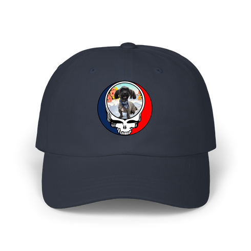 1632 - Custom Stealie Dad Hat