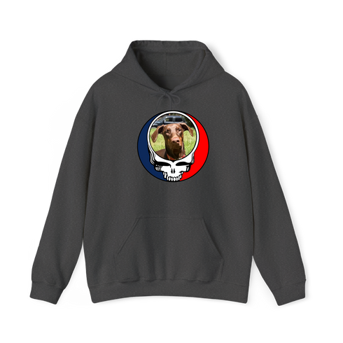 1463 - Custom Stealie Hoodie
