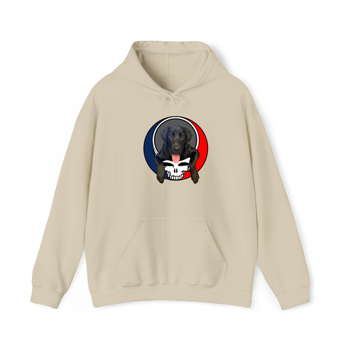 1620 - Custom Stealie Hoodie