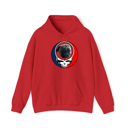 1388 - Custom Stealie Hoodie