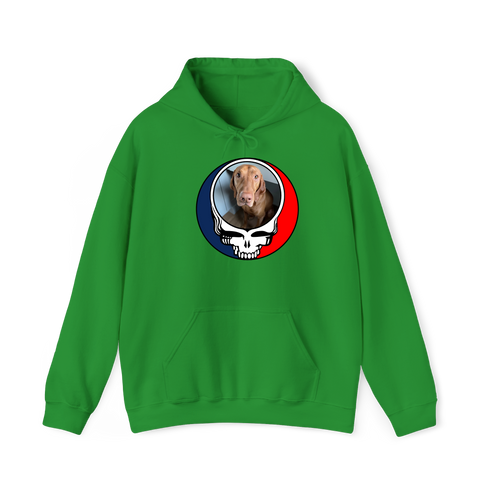 1693 - Custom Stealie Hoodie