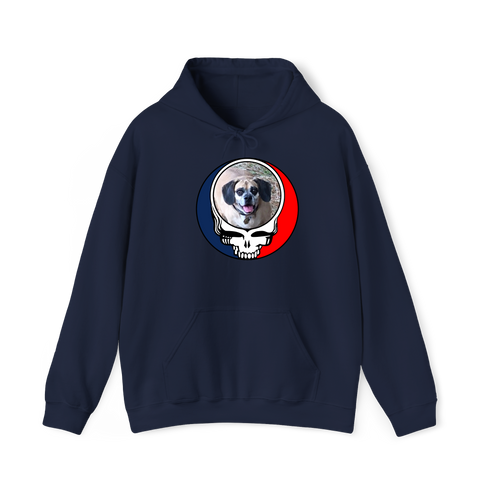 1735 - Custom Stealie Hoodie