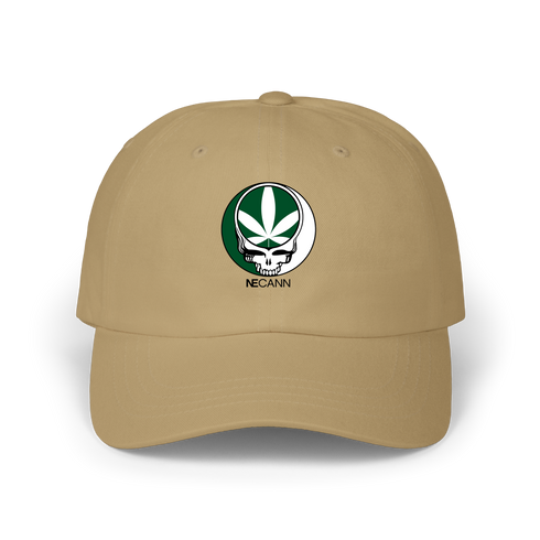 1667 - Custom Stealie Dad Hat