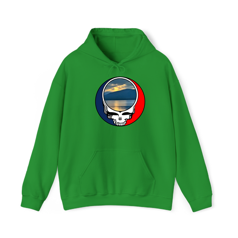 1556 - Custom Stealie Hoodie