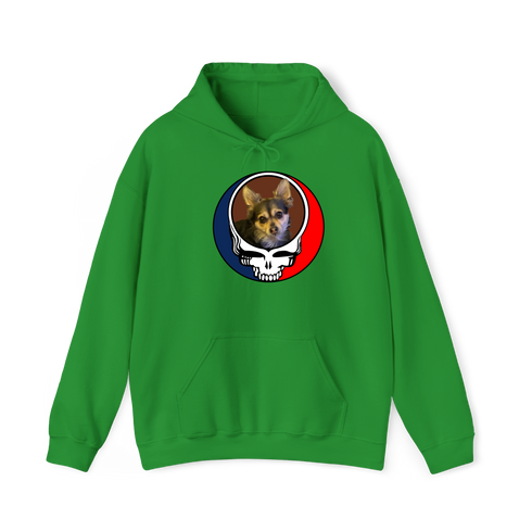 1447 - Custom Stealie Hoodie