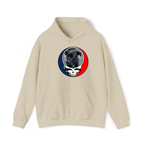 1532 - Custom Stealie Hoodie