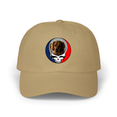 1729 - Custom Stealie Dad Hat