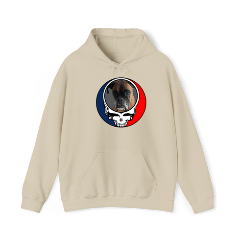 1451 - Custom Stealie Hoodie