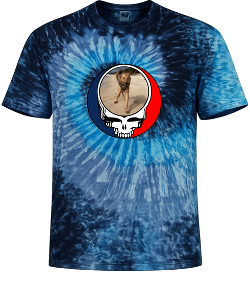 1637 - Custom Stealie Tie-Dye