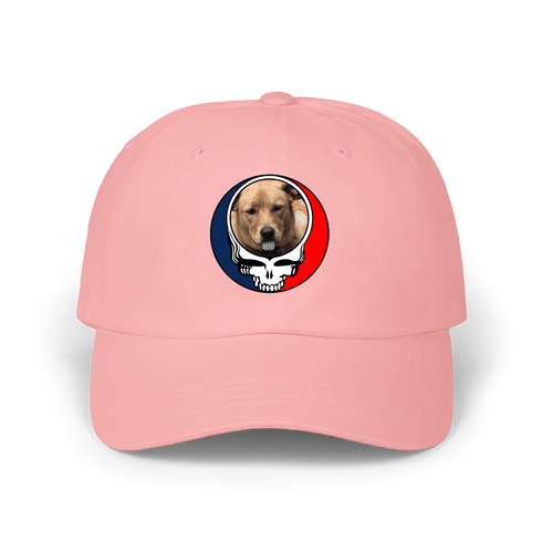 1635 - Custom Stealie Dad Hat