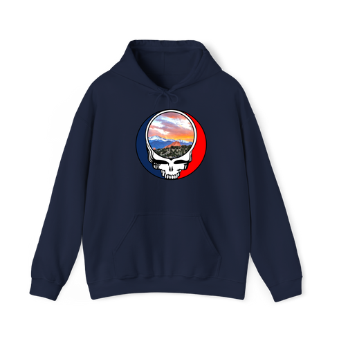 1596 - Custom Stealie Hoodie