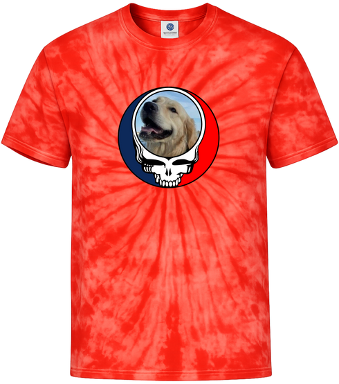 1698 - Custom Stealie Tie-Dye