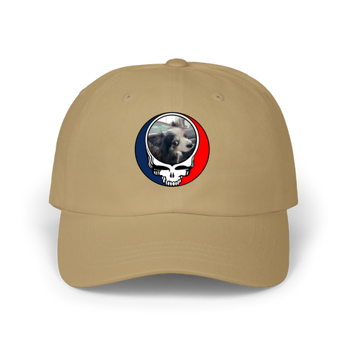 1715 - Custom Stealie Dad Hat