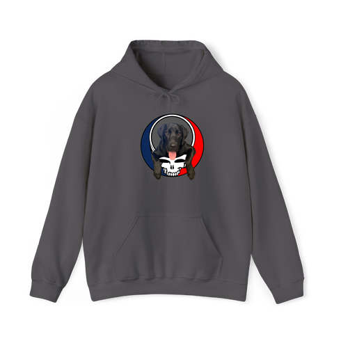 1620 - Custom Stealie Hoodie