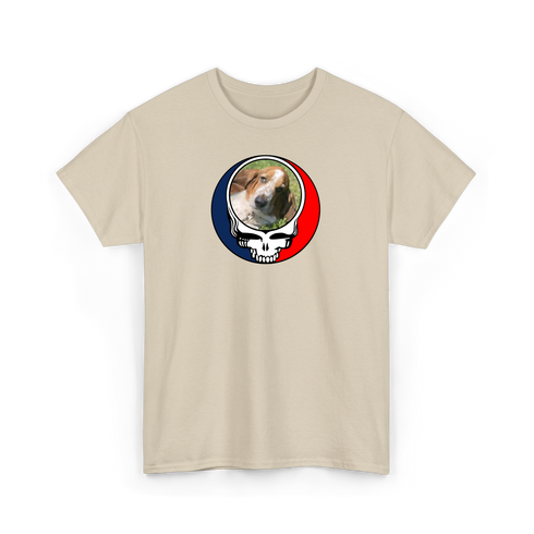 1682 - Custom Stealie T-Shirt