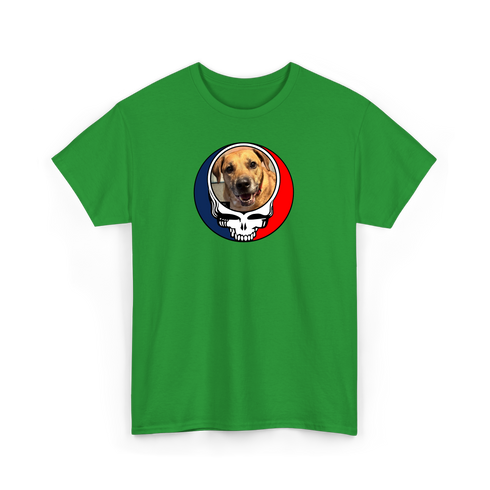 1672 - Custom Stealie T-Shirt