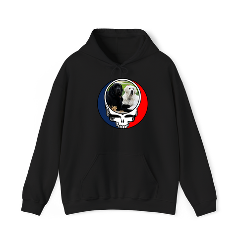 1619 - Custom Stealie Hoodie
