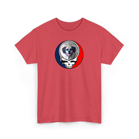 1735 - Custom Stealie T-Shirt