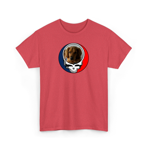 1729 - Custom Stealie T-Shirt