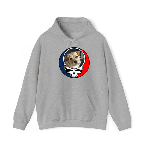 1650 - Custom Stealie Hoodie