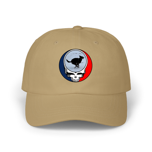 1628 - Custom Stealie Dad Hat