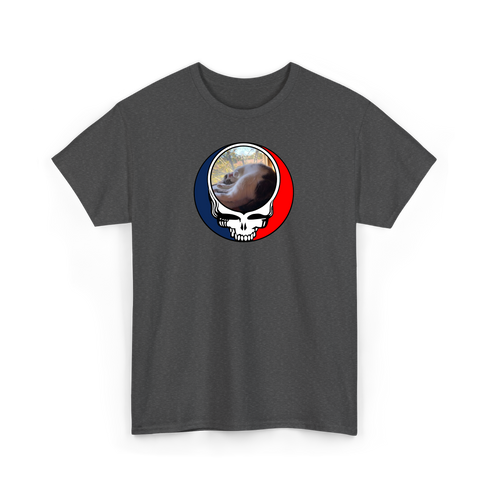 1634 - Custom Stealie T-Shirt