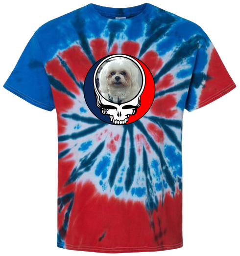1727 - Custom Stealie Tie-Dye