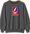 Hanover Stealie Premium Unisex Crewneck — Design: Hanover College — Dark Heather