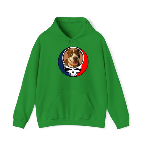 1614 - Custom Stealie Hoodie