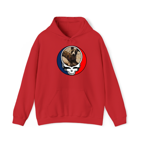 1363 - Custom Stealie Hoodie